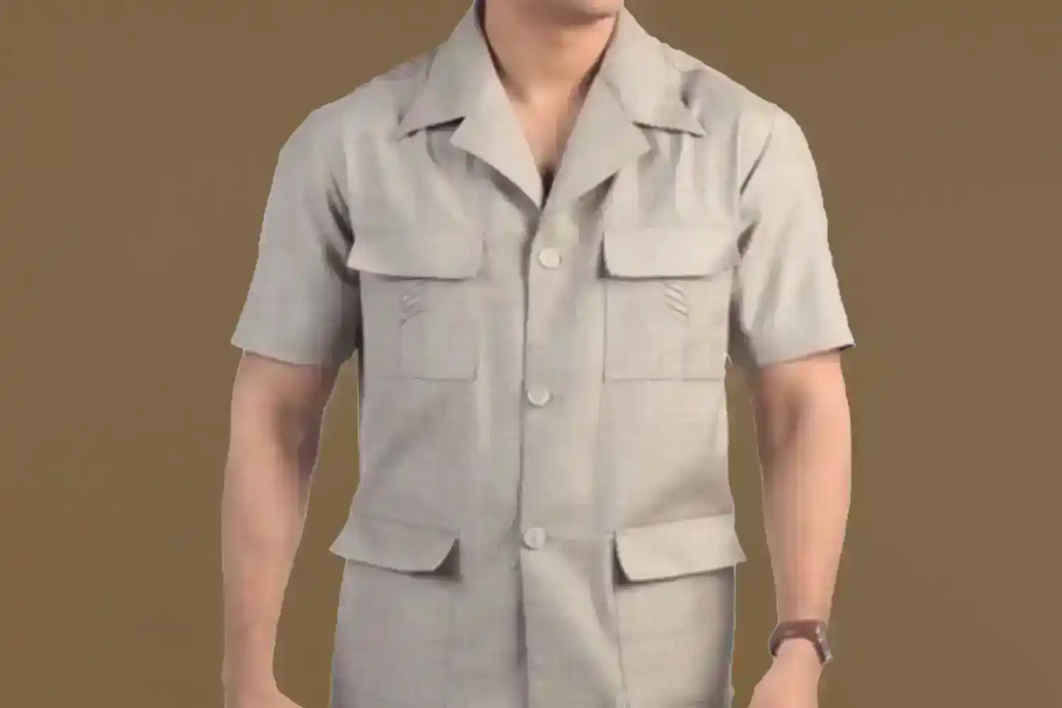 Safari